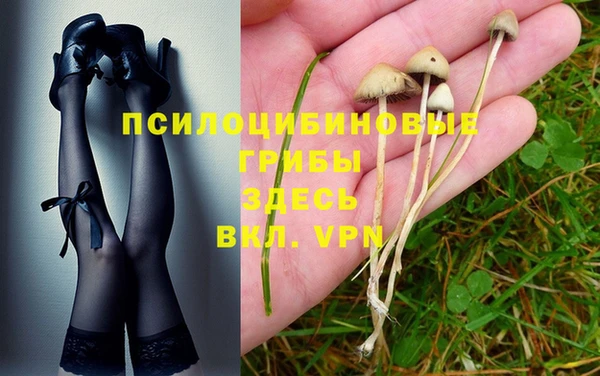 бутират Баксан